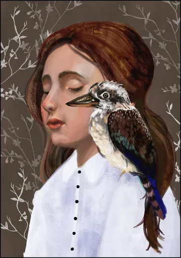 Kookaburra