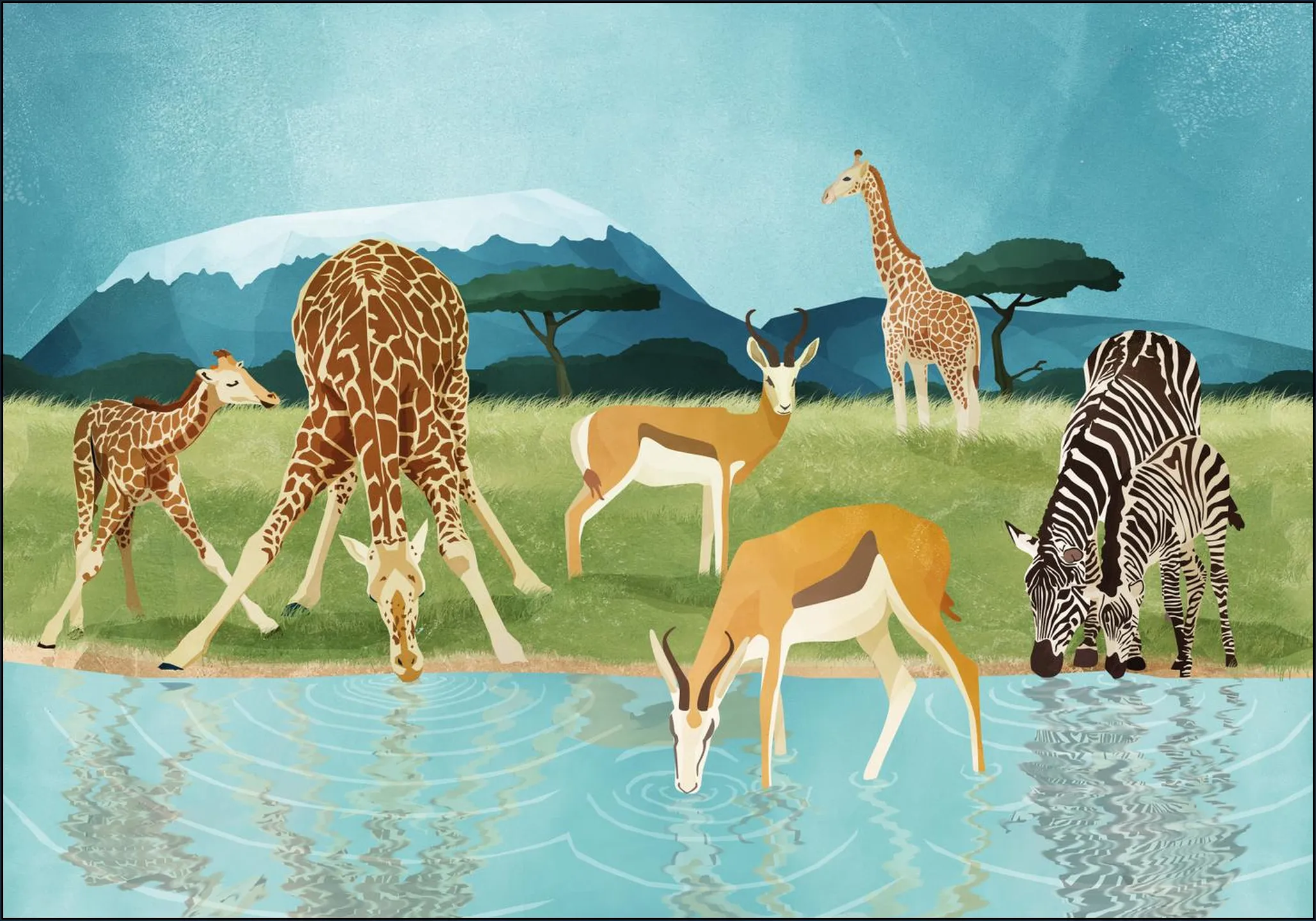 Savanna