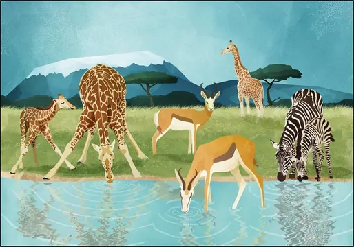 Savanna