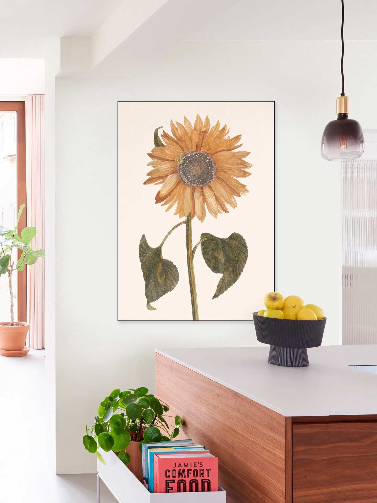 Tournesol - Zonnebloem