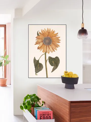 Tournesol - Zonnebloem