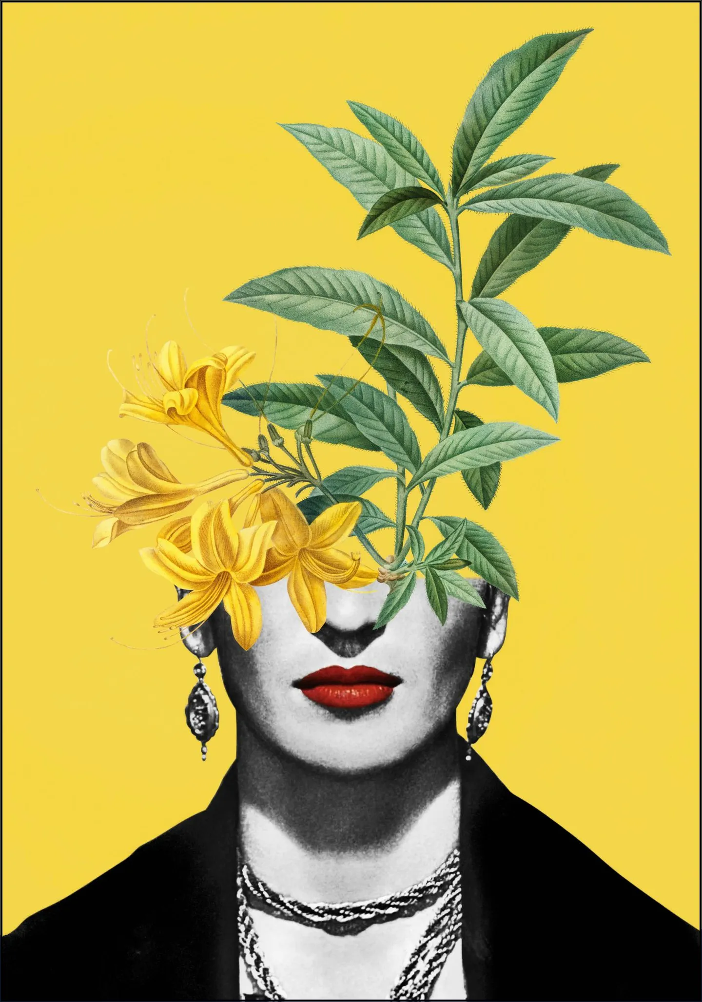 Frida, Complicated Simplified