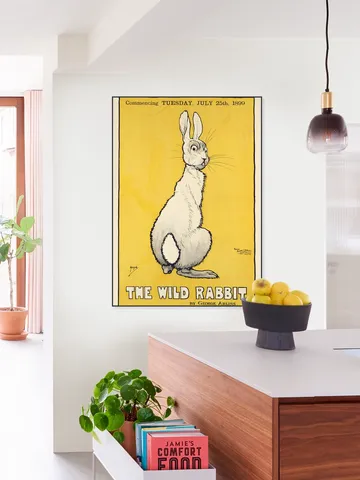 The Wild Rabbit