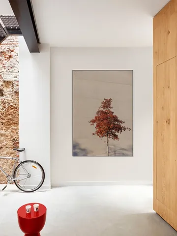 One Autumn Tree