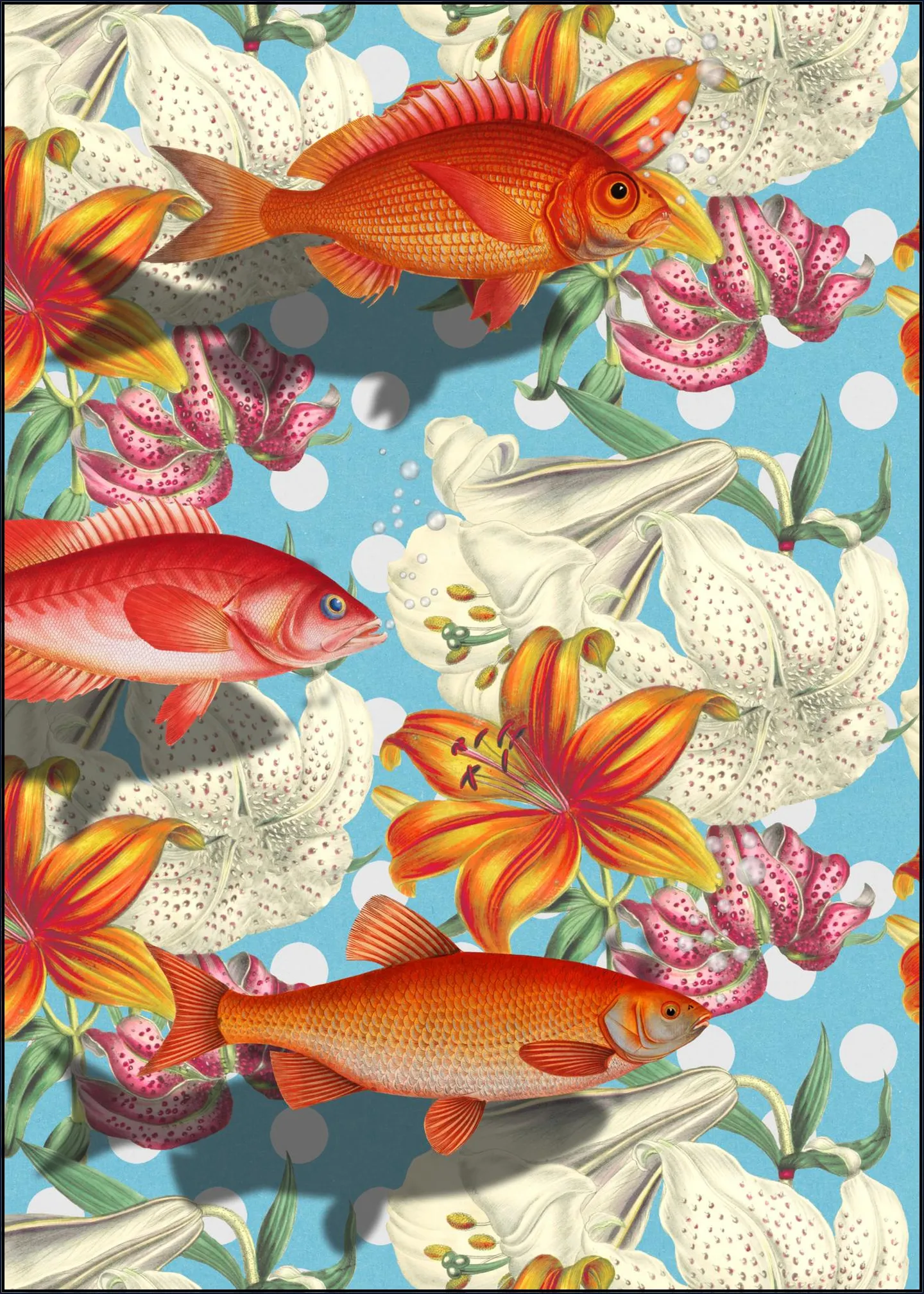About Fish in Unexpected Places
