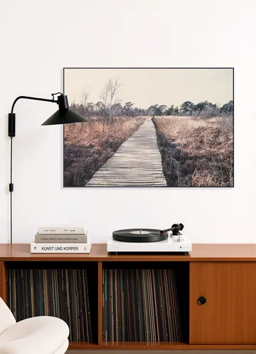 Dreamy Landscape