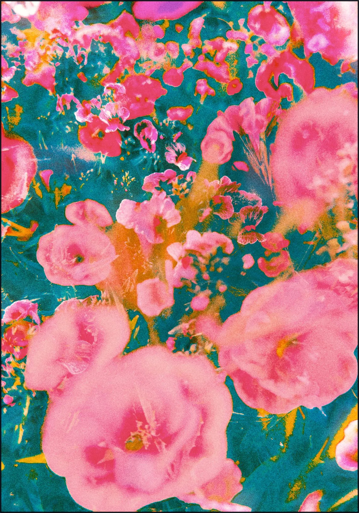 Blooming Impressions