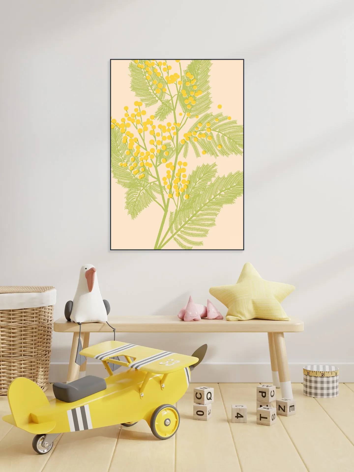 Mimosa