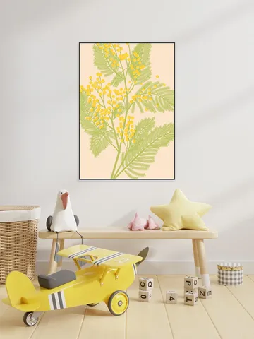 Mimosa