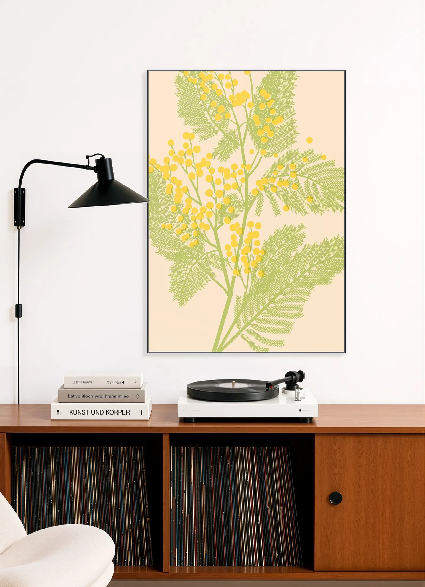 Mimosa