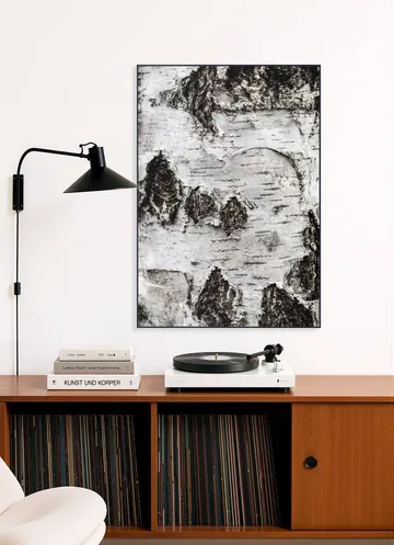 Birch Tree 2