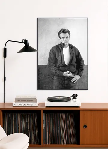 Rebel without a cause