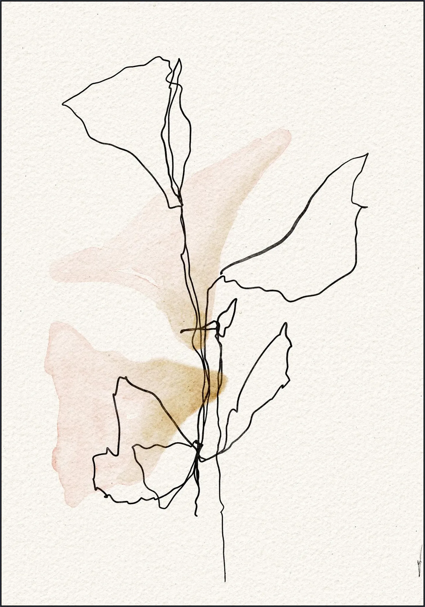Minimal Bloom Lines
