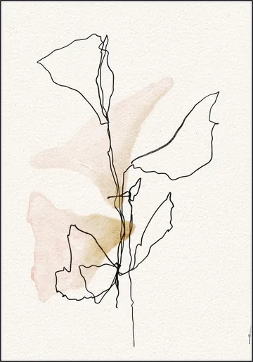 Minimal Bloom Lines