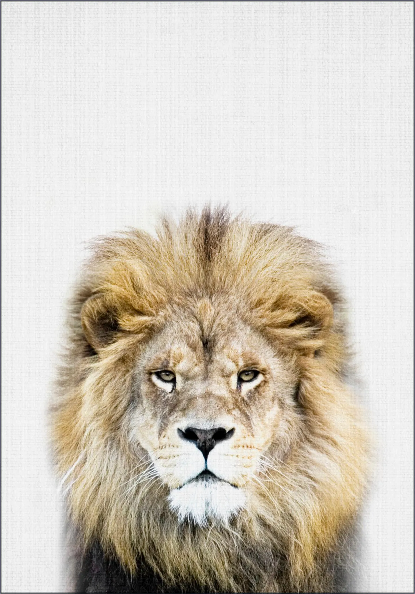 Print 326 Lion