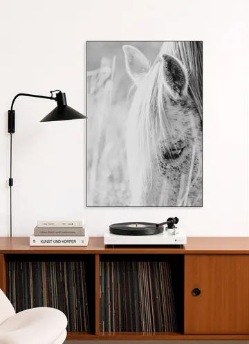 Wild Horse Indie Rose
