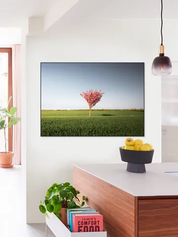 The Pink Tree