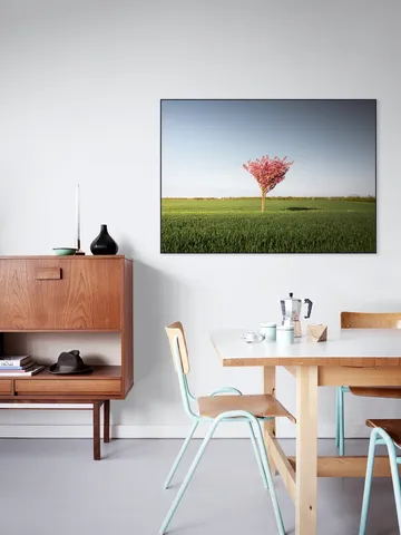 The Pink Tree