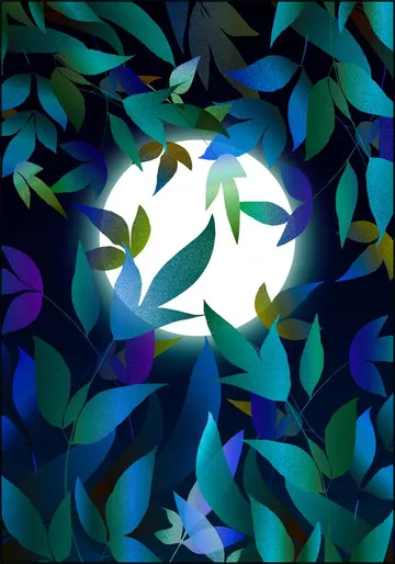 Moonlight In Teal
