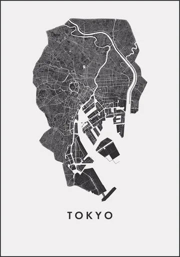 Tokyo City Map