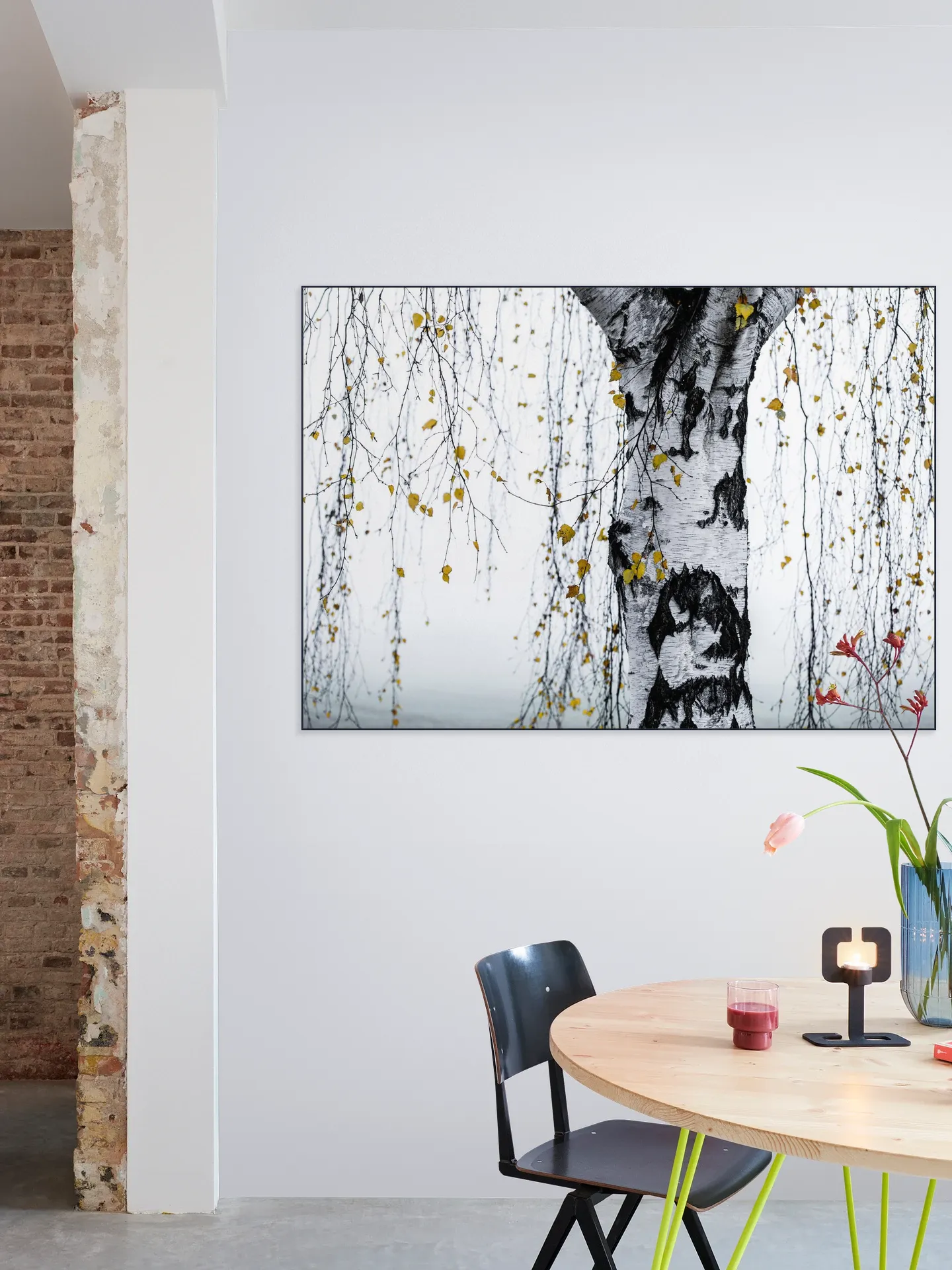 Birch Tree