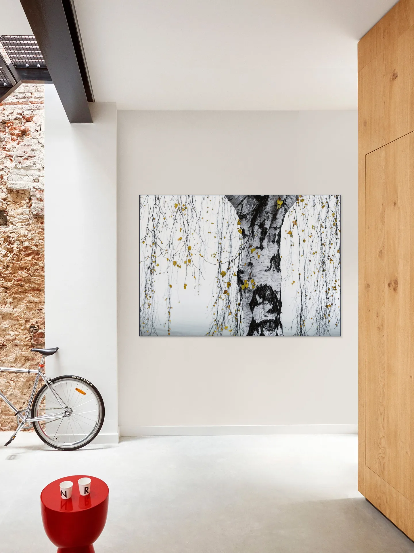 Birch Tree