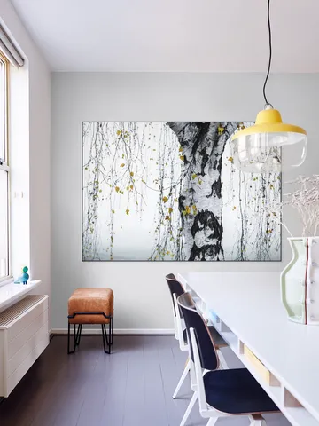 Birch Tree