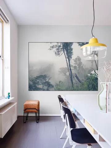 Trees in the Fog