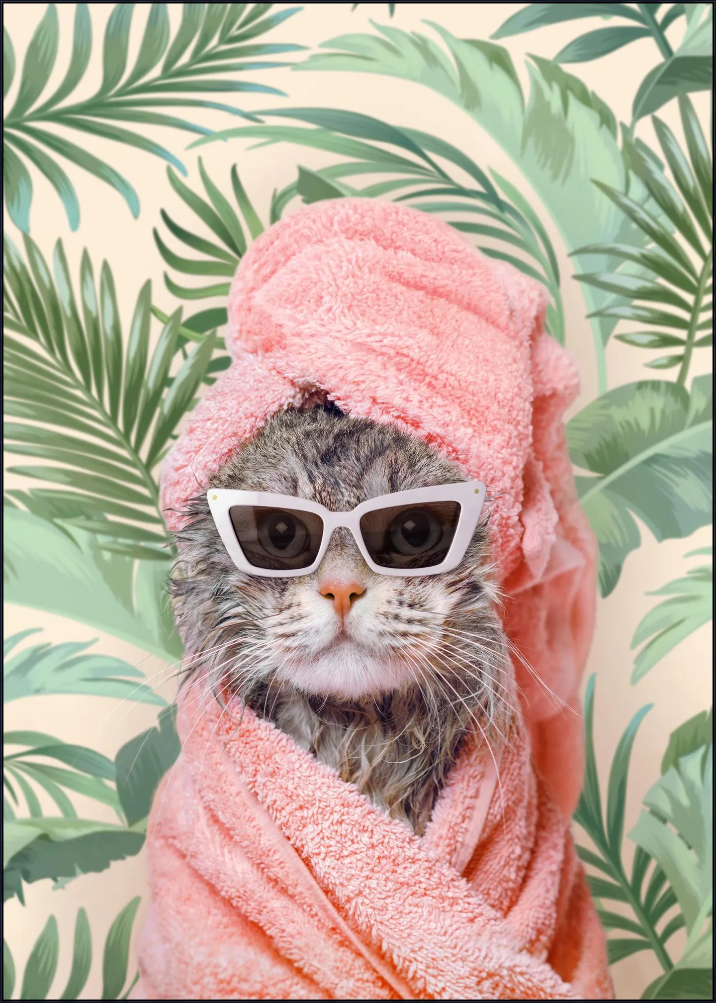 Beverly Hills Cat