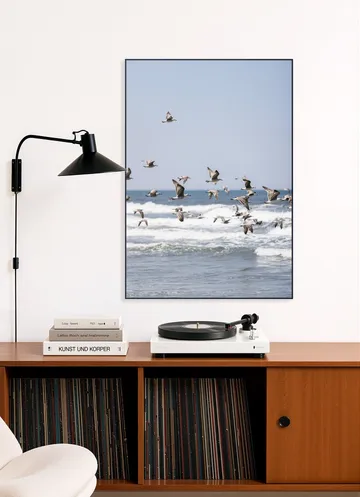 Birds and the Sea 2