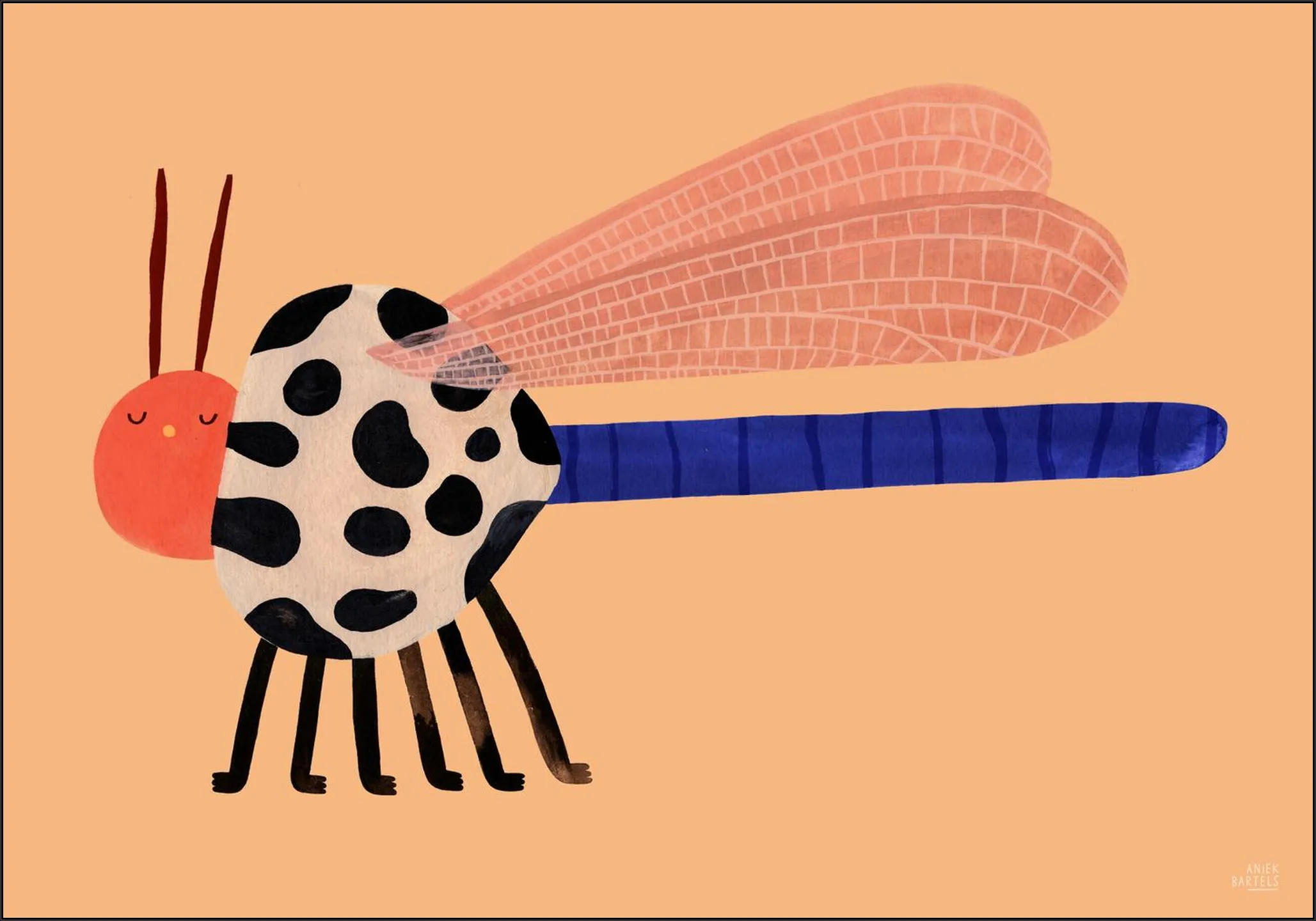 Chubby Dragonfly