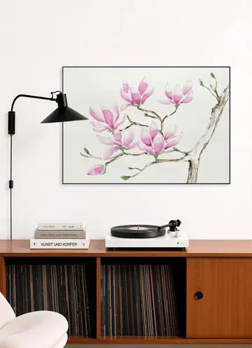 Magnolia in Bloom