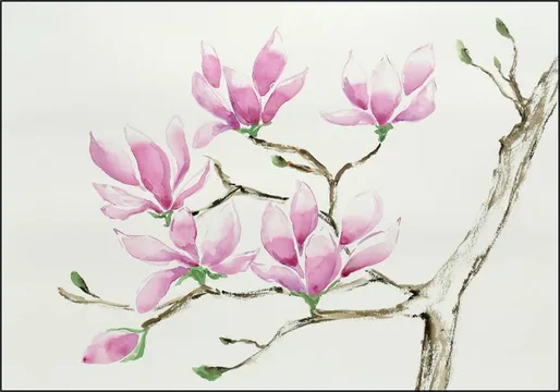 Magnolia in Bloom
