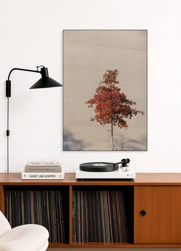 One Autumn Tree