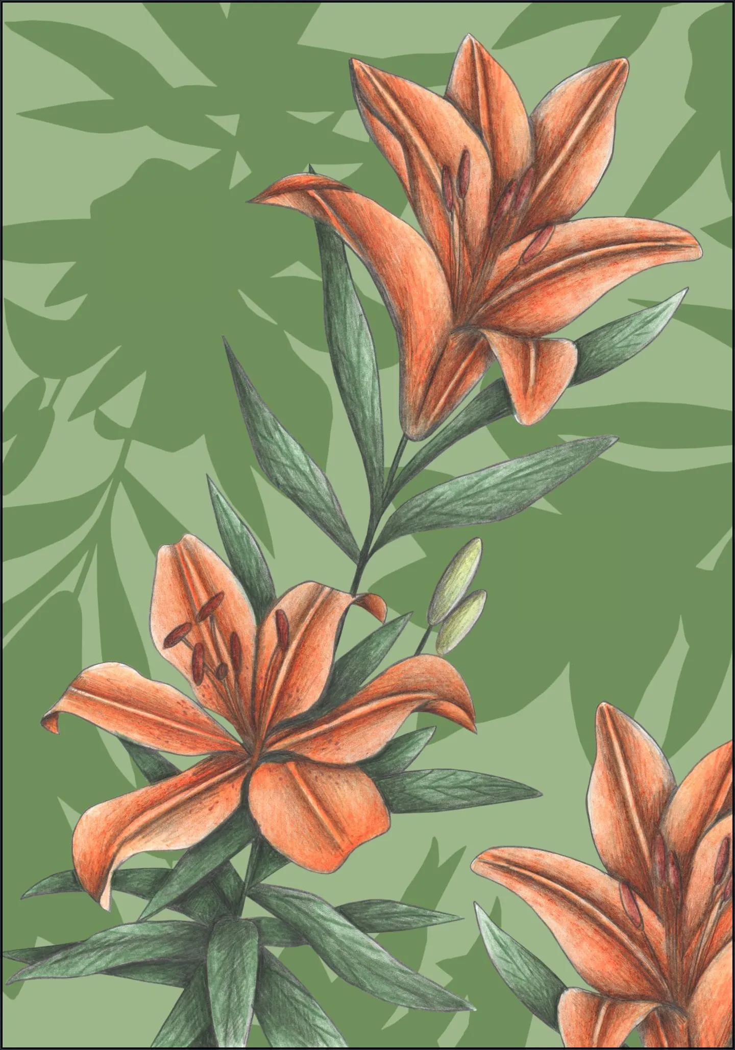 Orange Lilies