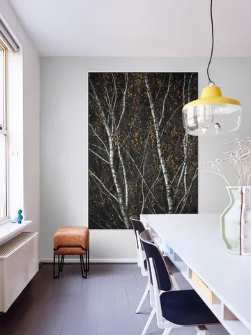 Birch Trees Dark
