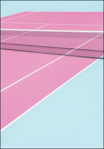 Pink Court Net