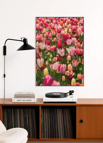Keukenhof