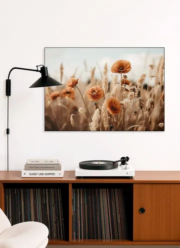 Orange Poppy Field