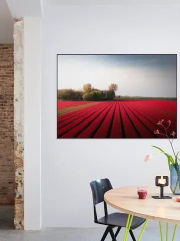 Red Fields of Spring