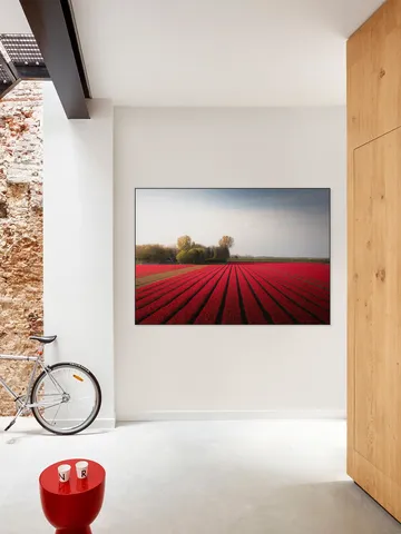 Red Fields of Spring