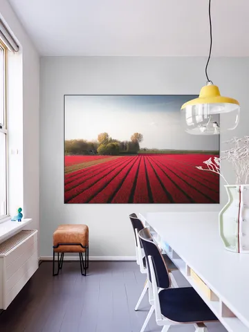 Red Fields of Spring