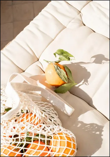 Summer Fruits