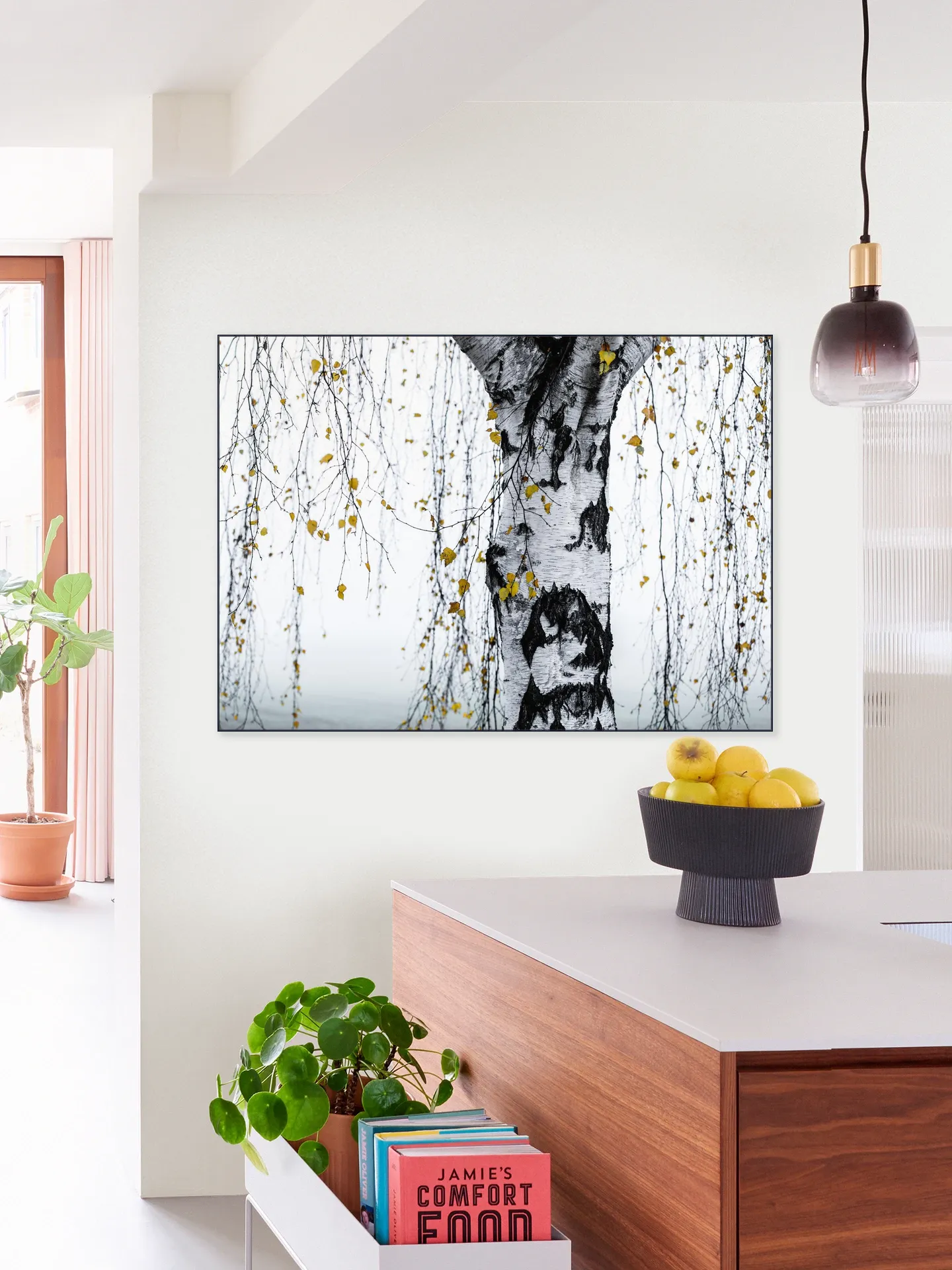 Birch Tree