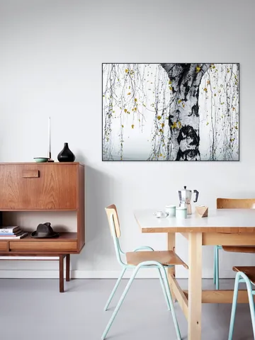 Birch Tree