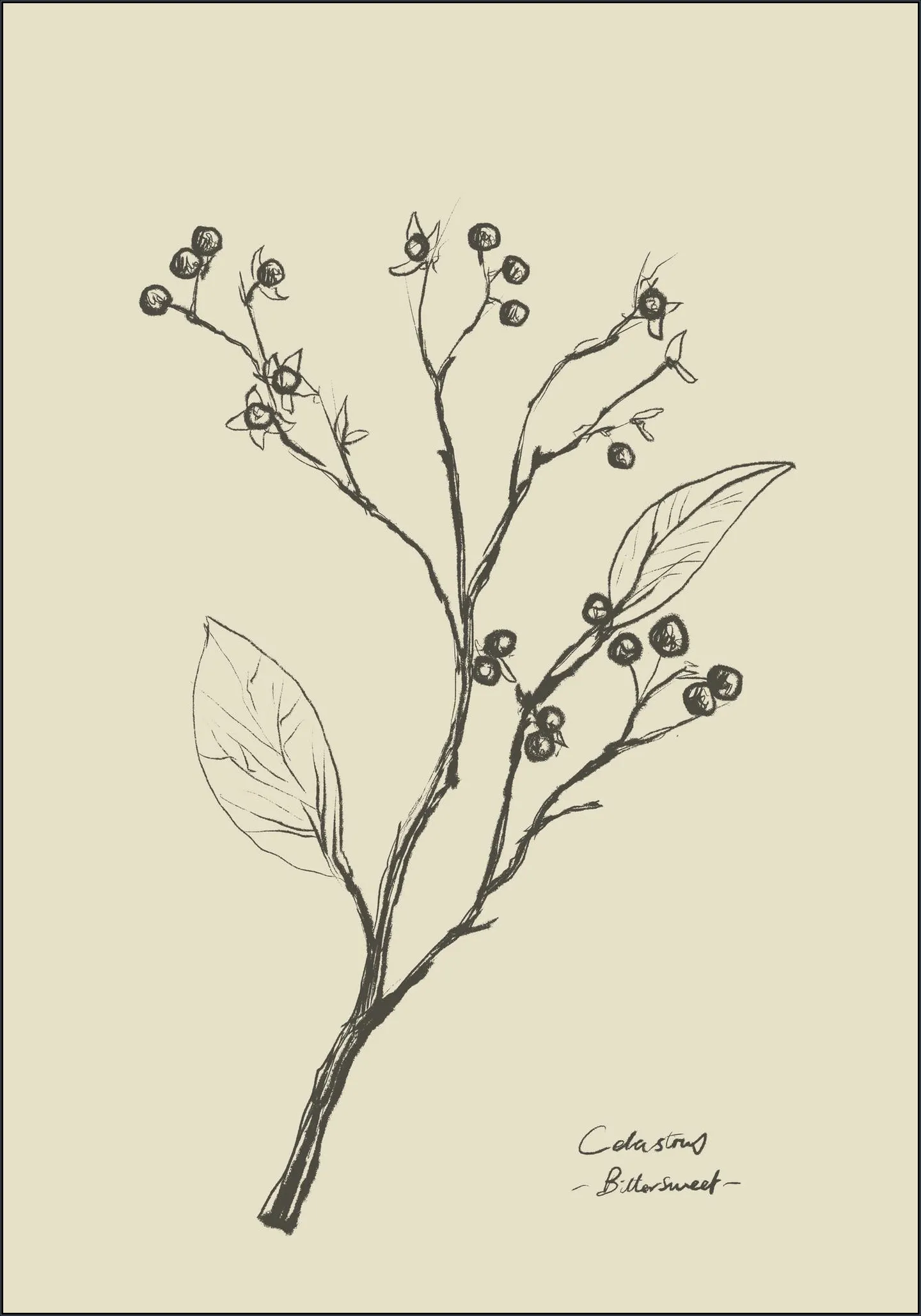 Floral 2