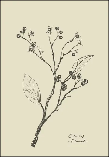 Floral 2