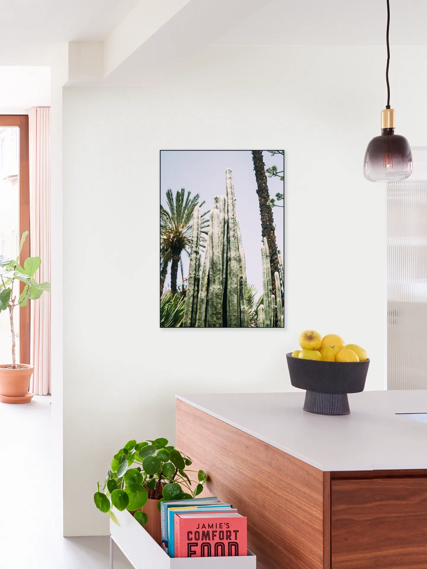 Palmeraie Cactus