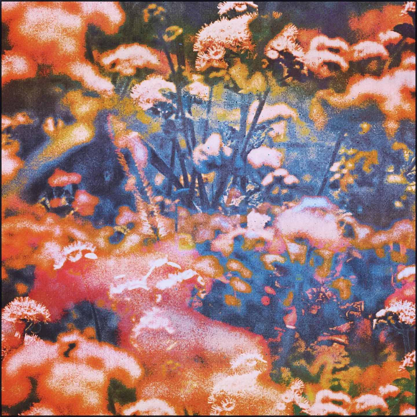 Earthly Enchantment