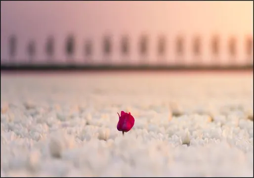 The One that Stands Apart